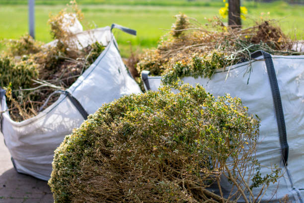 Best Same-Day Junk Removal  in Picture Rocks, AZ