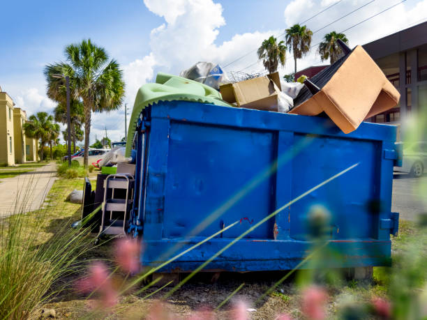 Best Dumpster Rental Services  in Picture Rocks, AZ