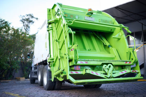 Best Yard Cleanup Services  in Picture Rocks, AZ
